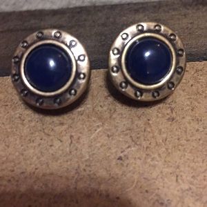 Beautiful blue earrings